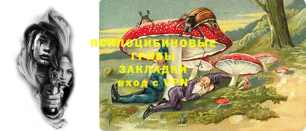 бошки Алзамай