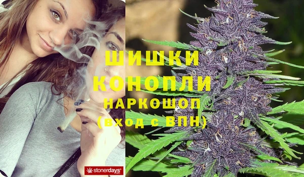 винт Алексин